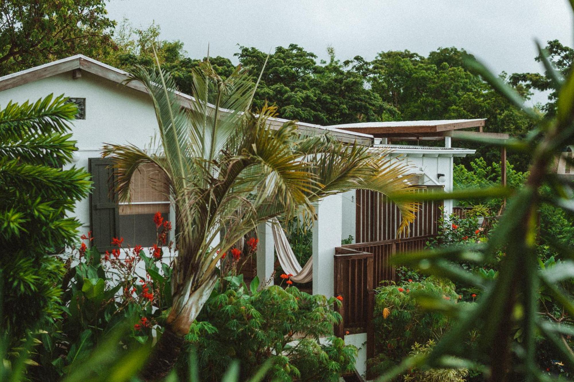 Finca Victoria Vieques Ngoại thất bức ảnh